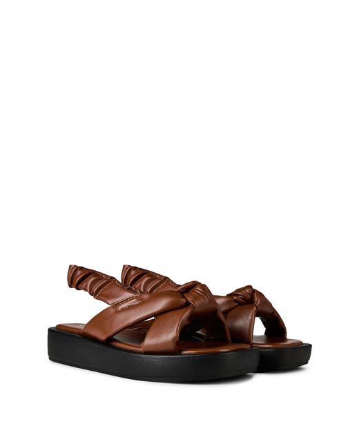 Hi-tec Brown Hitec Fuse Trail Shoes for men