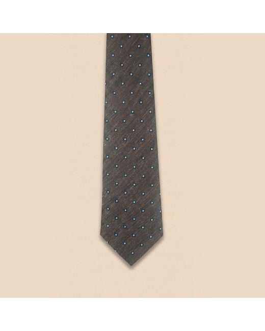 Without Prejudice Brown Bella Silt Daisy Tie for men