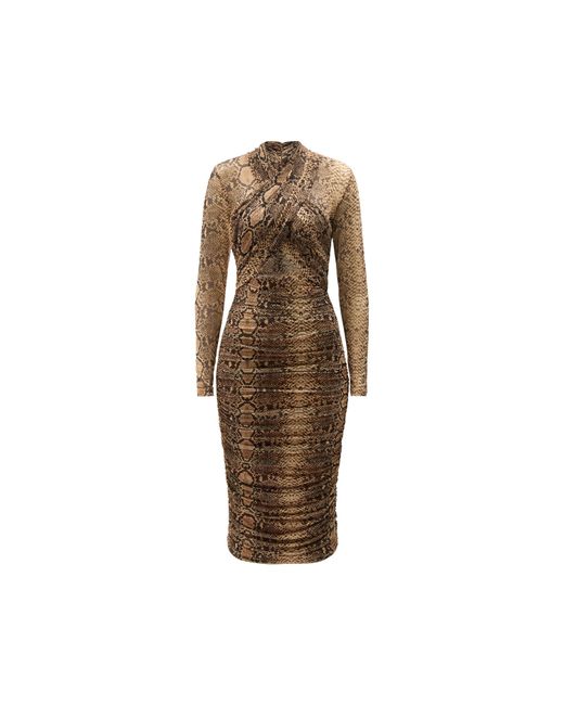 Bardot Brown Aliyah Midi Bodycon Dress