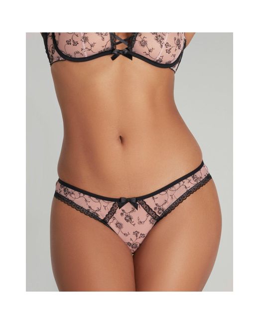Agent Provocateur Brown Rosaleen Full Brief