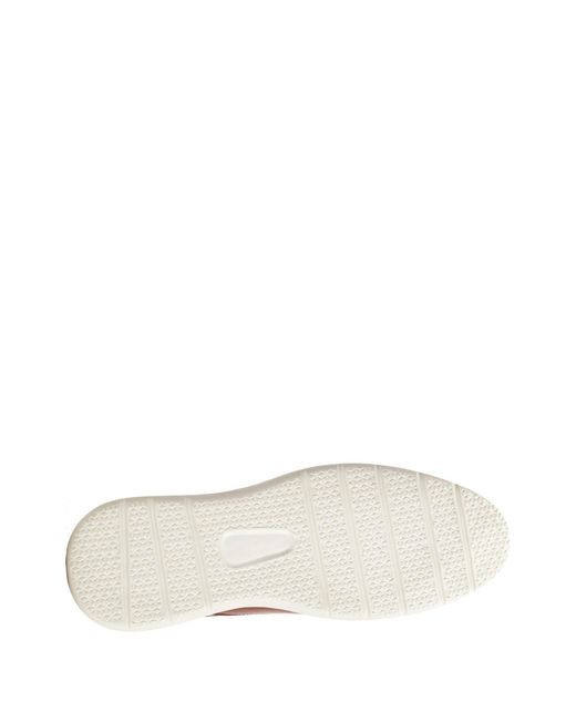 Base London Brown Wing Derby for men