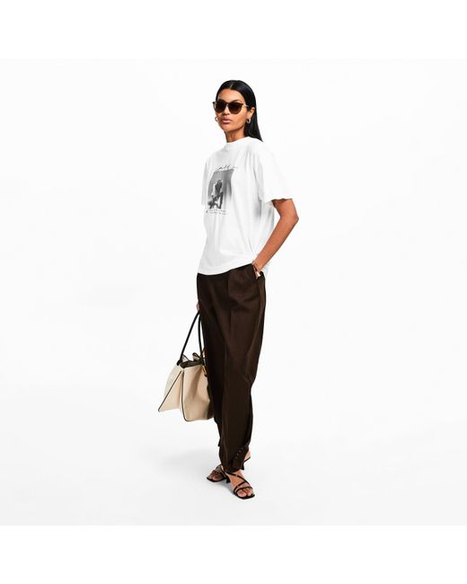 Ray-Ban Brown Round Sunglasses