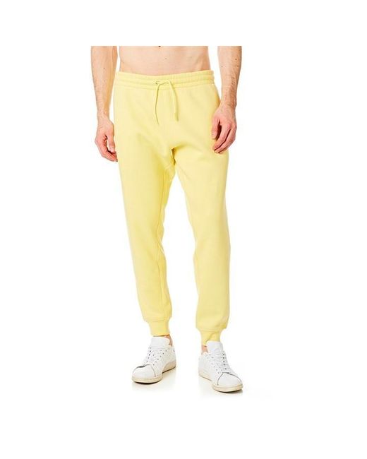 Ript Yellow jogging Pant for men