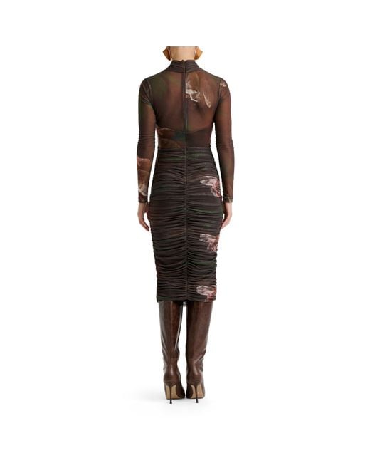 Bardot Brown Bd Aliyah Dress Ld64