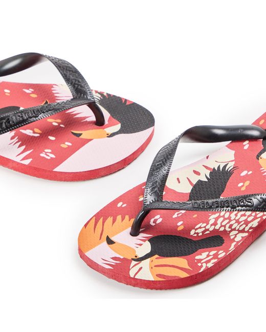 Havaianas Blue Flip Flops