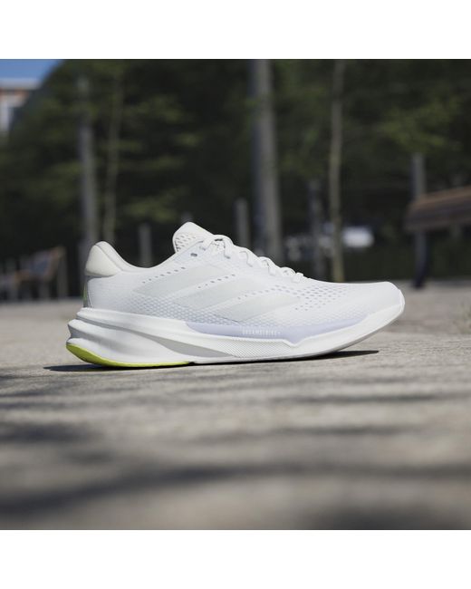 Adidas Gray Sprnv Strd Everyday Neutral Road Running Shoes