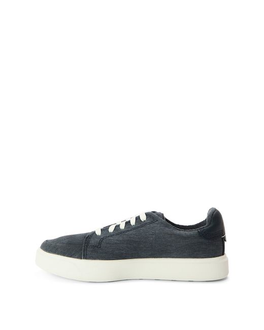 Timberland Blue Low Lc Sneaker Trainers