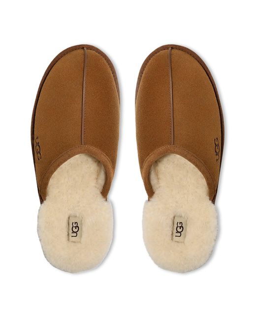 Ugg Brown Scuff Mule Slippers for men
