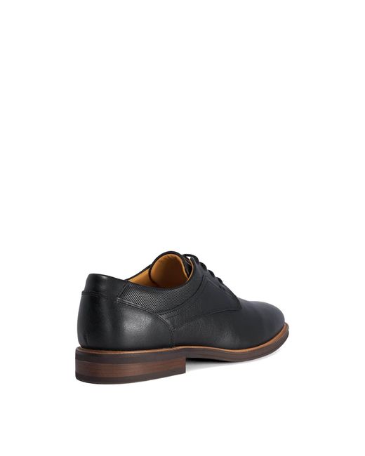 Dune Black Derby Shoes for men