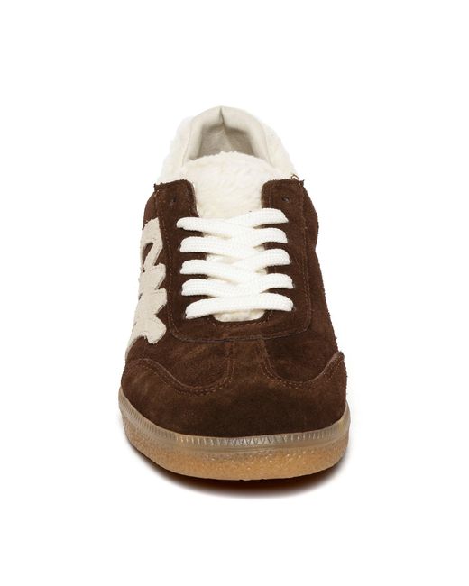 Steve Madden Brown Elora Low-Top Trainers