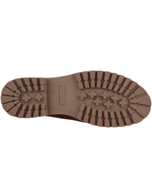 Firetrap Brown Chicago Bt for men