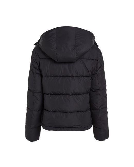 Calvin Klein Blue Essential Water Resistant Rds-Certified Down Short Puffer Jacket