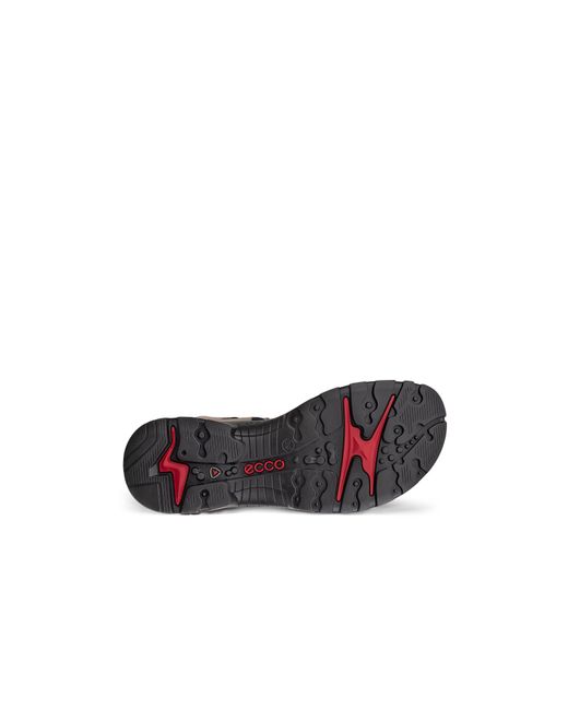 Ecco Brown Seasonal Walking Sandals