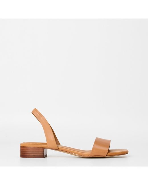 ALDO Brown Dorenna Flat Sandals