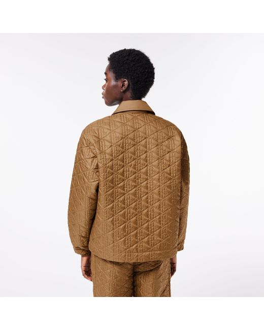 Lacoste Brown Padded Quilted Jacket