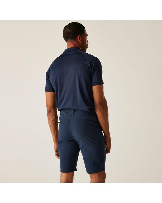 Regatta Blue Prolite Stretch Shorts for men
