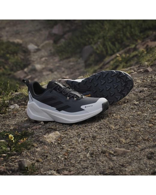 Adidas Blue Terrex Trailmaker 2 Gore-Tex Hiking Shoes for men