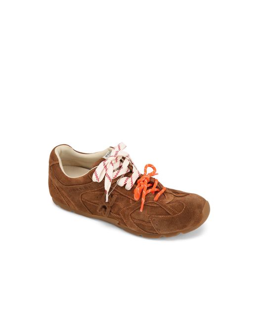 Nokwol Brown Atlas-M for men