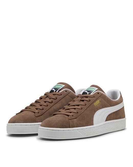 PUMA Brown Suede Classic Sneakers for men
