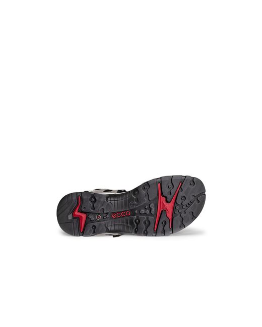 Ecco Black Seasonal Walking Sandals