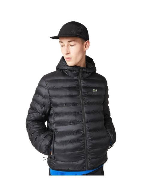 Lacoste Blue Slim Fit Short Puffer Jacket for men