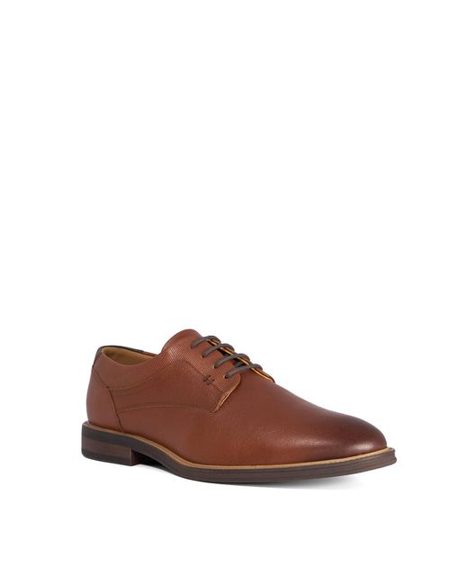 Dune Brown Derby Shoes for men
