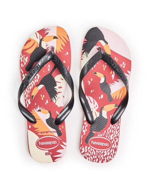 Havaianas Blue Flip Flops