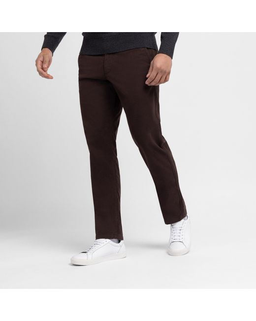 Eden Park Brown Straight-Leg Dark Chinos for men