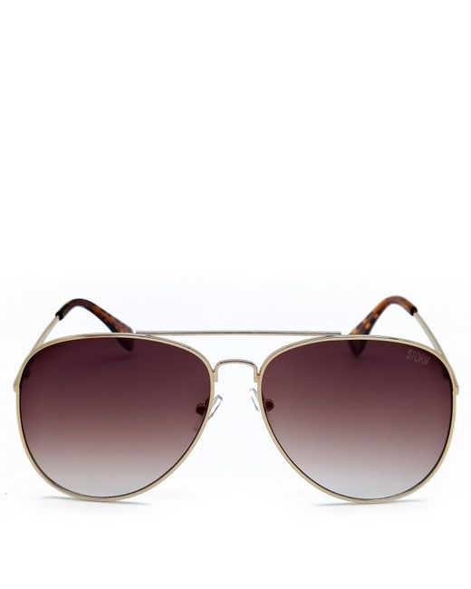 Storm Brown Aviator Sunglasses for men