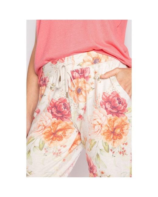 Pj Salvage Pink Brunch