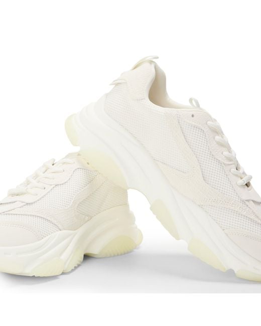 Steve Madden White Possess Low-Top Trainers for men