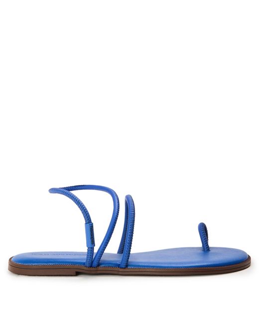Havaianas Blue Flip Flops