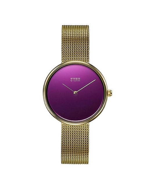 Storm Purple Plated Stainless Steel Fashion Analogue Watch