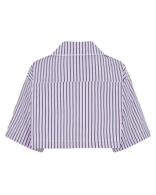 Palm Angels Purple Striped Cropped Shirt