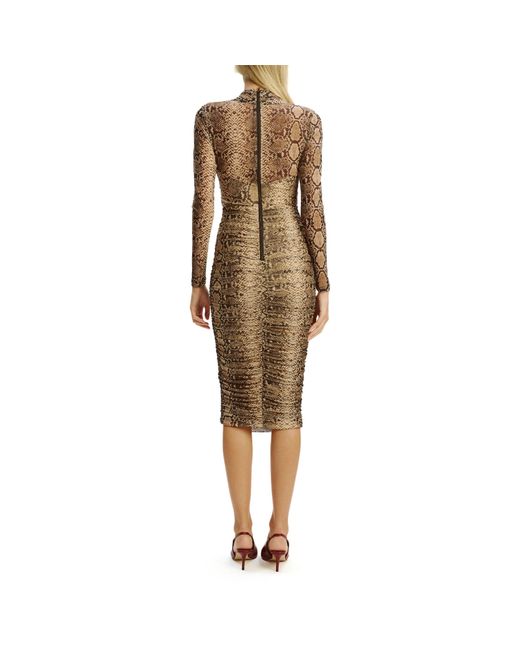 Bardot Brown Aliyah Midi Bodycon Dress