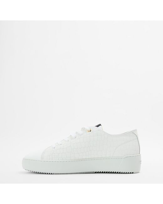 Android Homme White Low Trainers for men