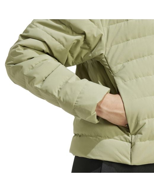 Adidas Green Helionic Down Jacket