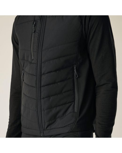 Regatta Black Pro Universal Bodywarmer for men