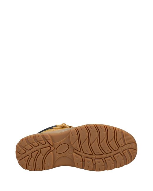 Amblers Safety Brown 605C Kira Safety Boots