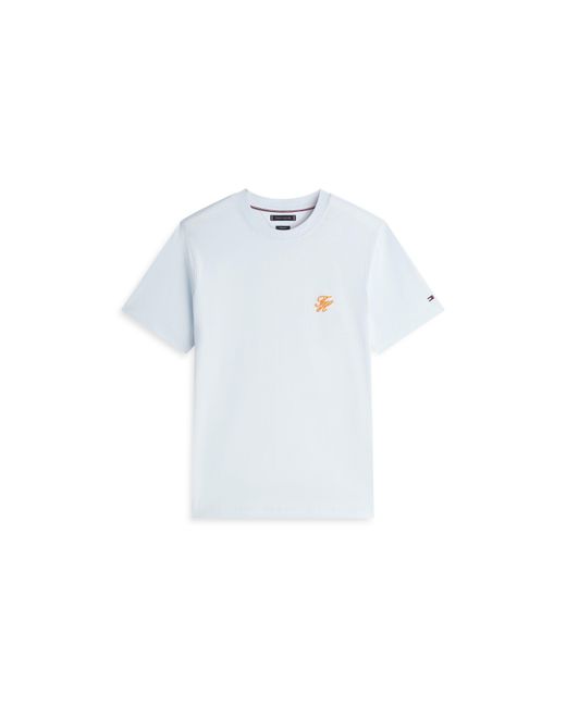 Tommy Hilfiger Blue T-Shirt for men