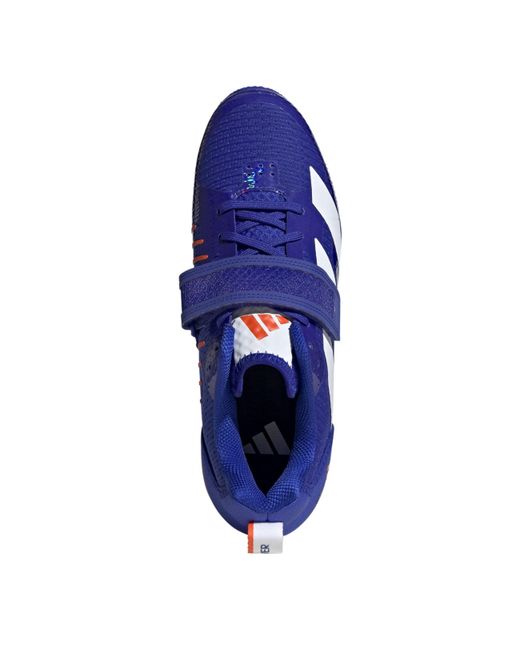 Adidas Blue Adpwr Wl Training Shoes for men