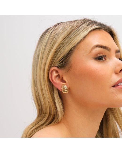 Jon Richard Metallic Plated Shell Clip Earrings
