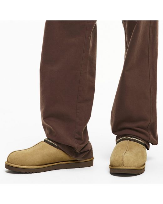 Ugg Brown Tasman for men