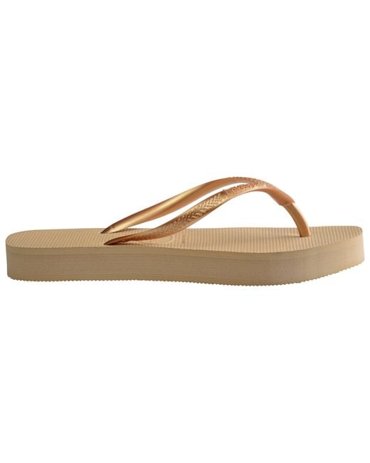 Havaianas Brown Slim Flatform Golden Flip Flops