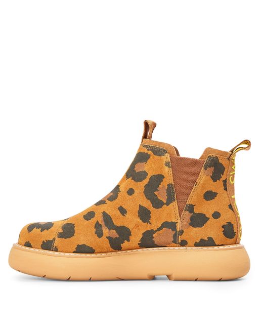 TOMS Brown Boot Ladies