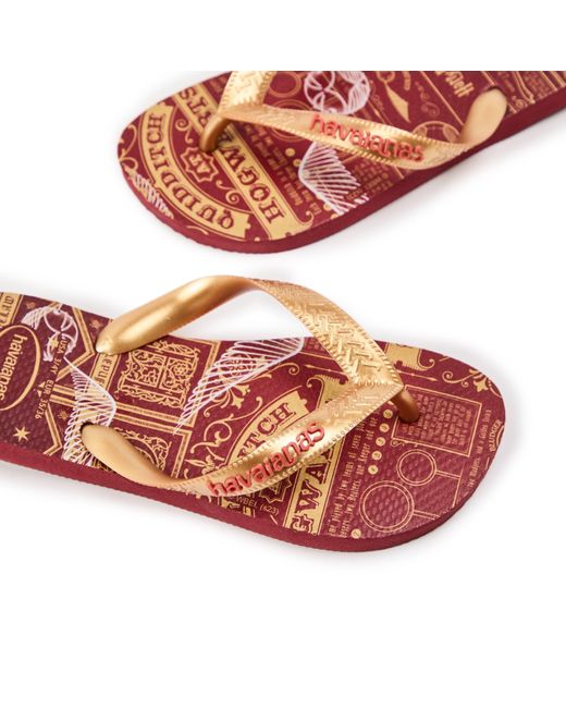 Havaianas Brown Licences Flip Flops
