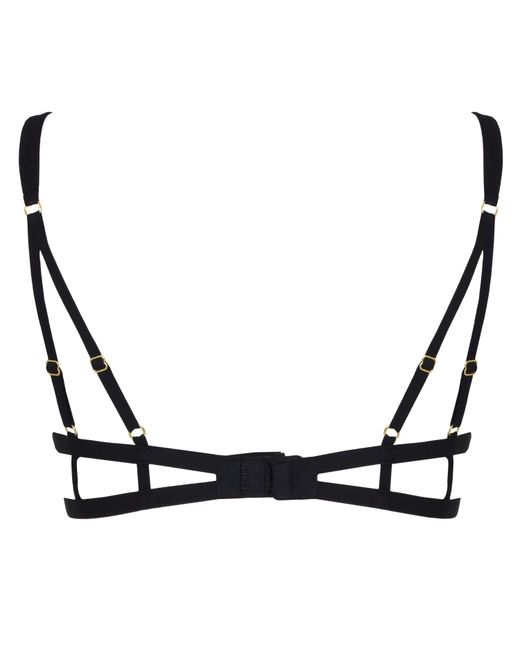 Bluebella Black Emerson Bra