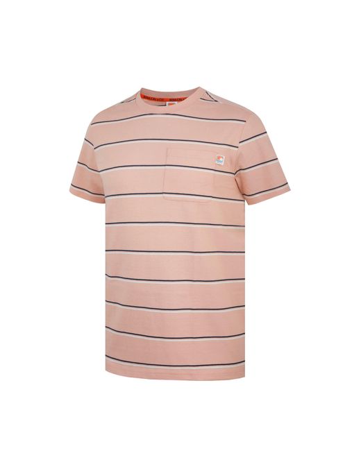 SoulCal & Co California Pink Soul Stripe Regular Fit T-Shirt for men