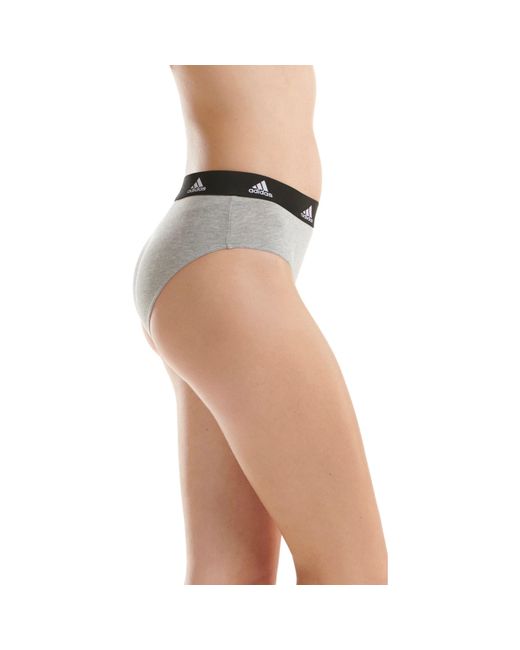 Adidas Purple Tai Full Brief Underwear