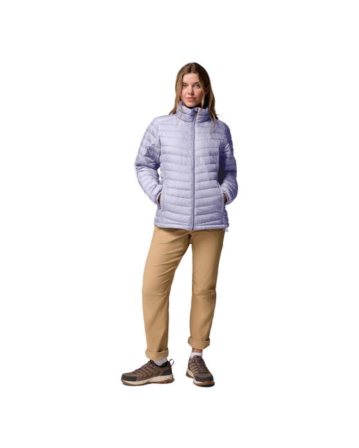 Columbia Blue Chestnut Clearing Water-Resistant Lightweight Insulated Puffer Jacket